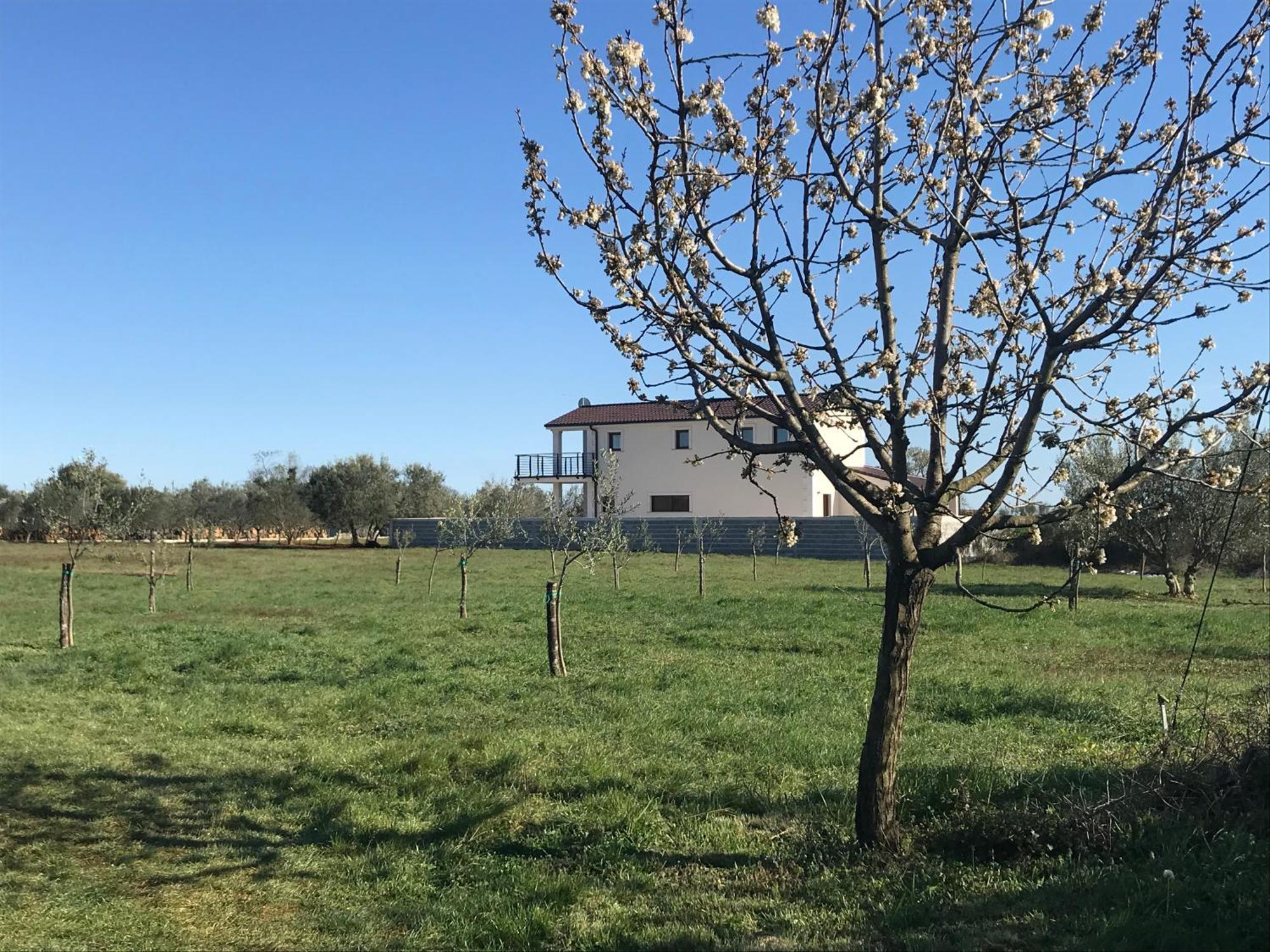 Villa Lydia Marčana Buitenkant foto