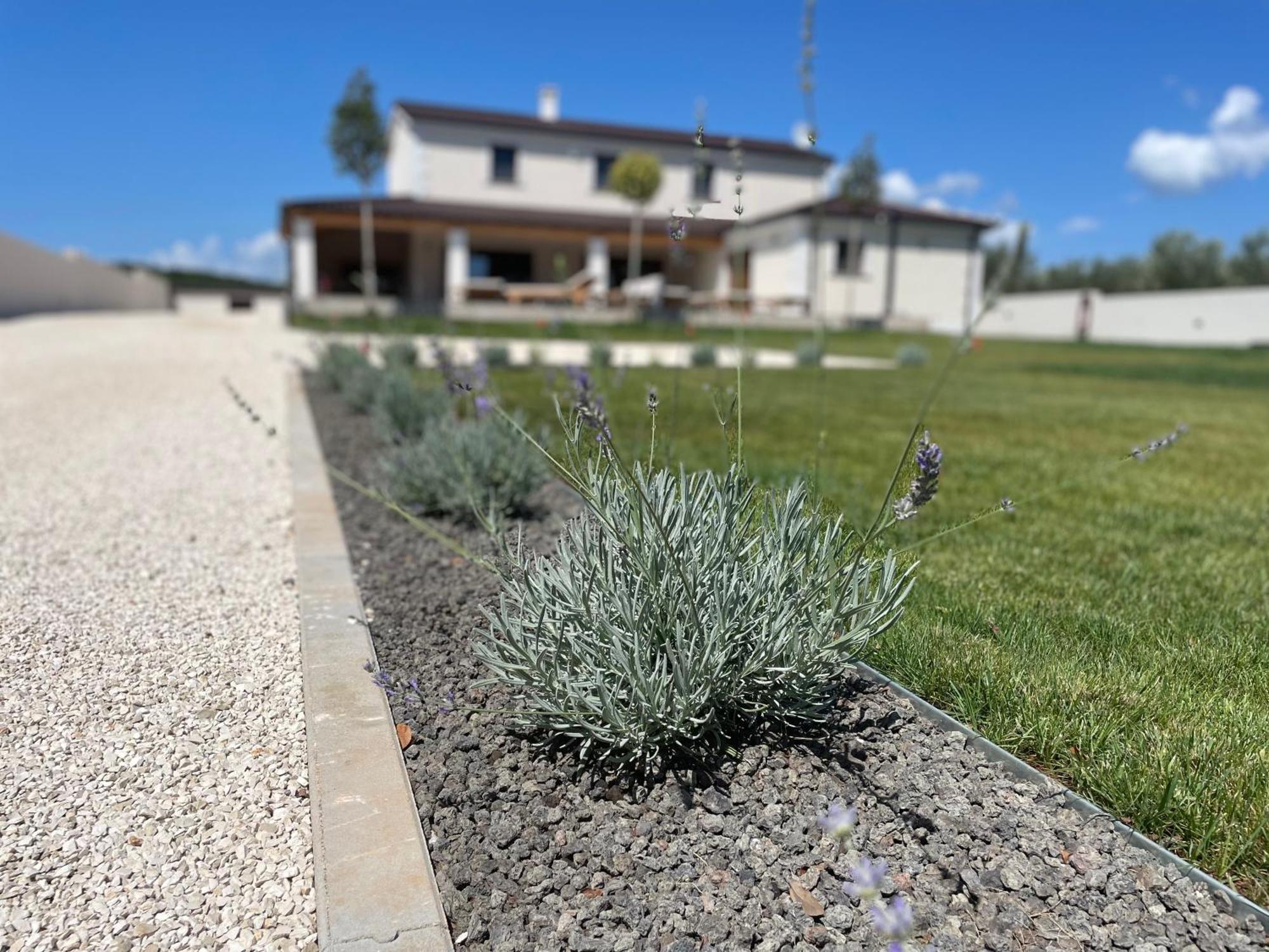 Villa Lydia Marčana Buitenkant foto